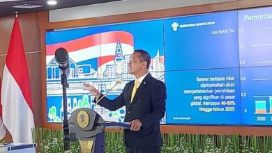 Menteri Bahlil Buka Borok Kemampuan Pengembangunan Usaha Tom Lembong