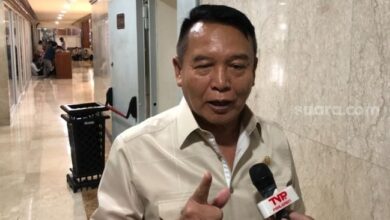 Pemberian Jenderal Kehormatan Prabowo Dikritik, TB Hasanuddin: Pangkat Itu Bukan untuk Pensiunan TNI!