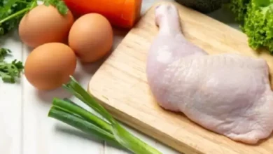 Ayam vs Telur, Mana Informan Protein Paling Baik?