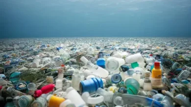Aqua Dukung Pengurangan 70% Sampah Plastik ke Laut